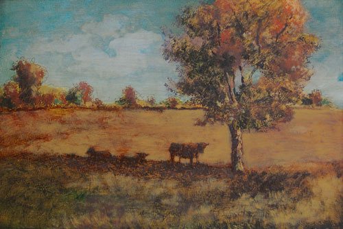 Cows Cows