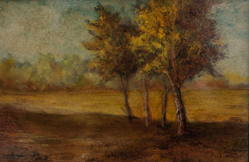Field & Trees Field & Trees