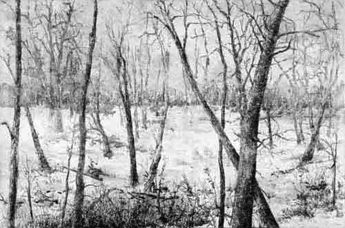 Quietude Quietude