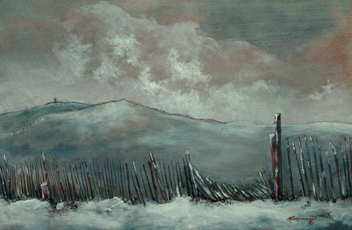 Snow Fence Snow Fence