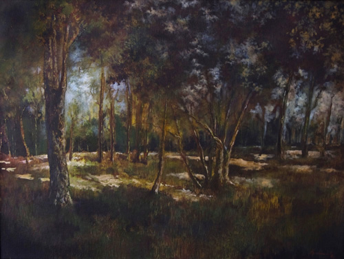 The Forest of Lucere The Forest of Lucere